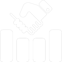 COMPANY LICENSES